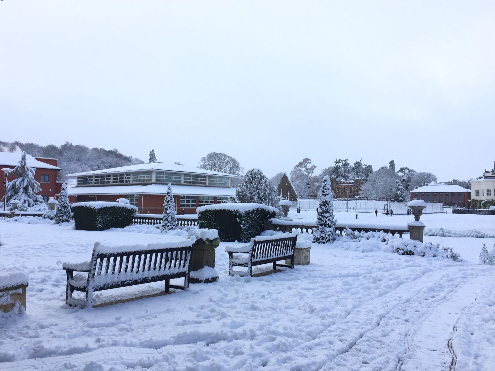 (The view of my high school in winter